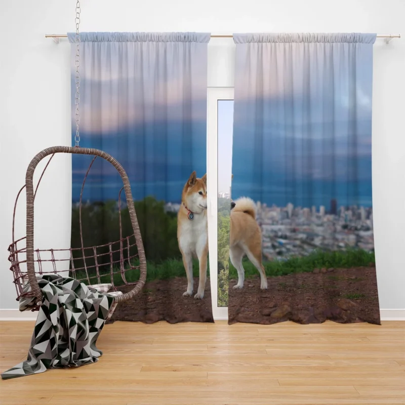 A Glimpse of Elegance: Shiba Inu Quartet Window Curtain