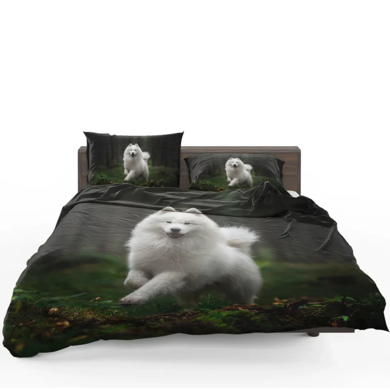 A Glimpse of Elegance: Spitz Quartet Bedding Set