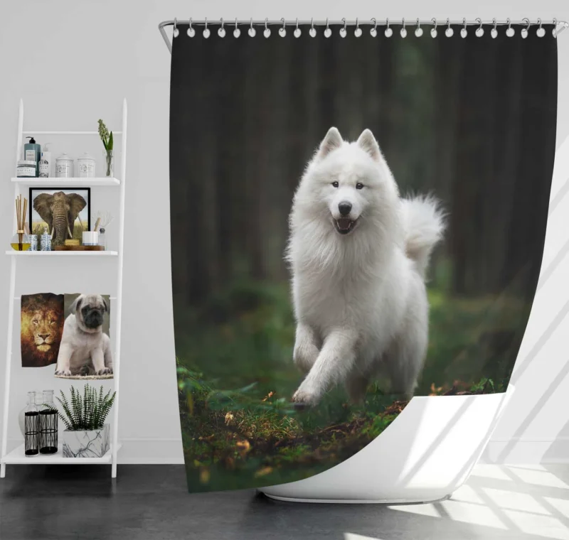 A Glimpse of Elegance: Spitz Quartet Shower Curtain