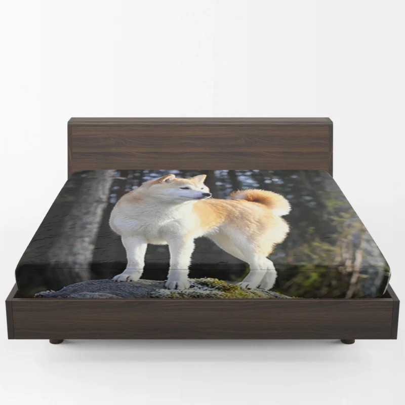 A Glimpse of Serenity: Shiba Inu Quartet Fitted Sheet 1