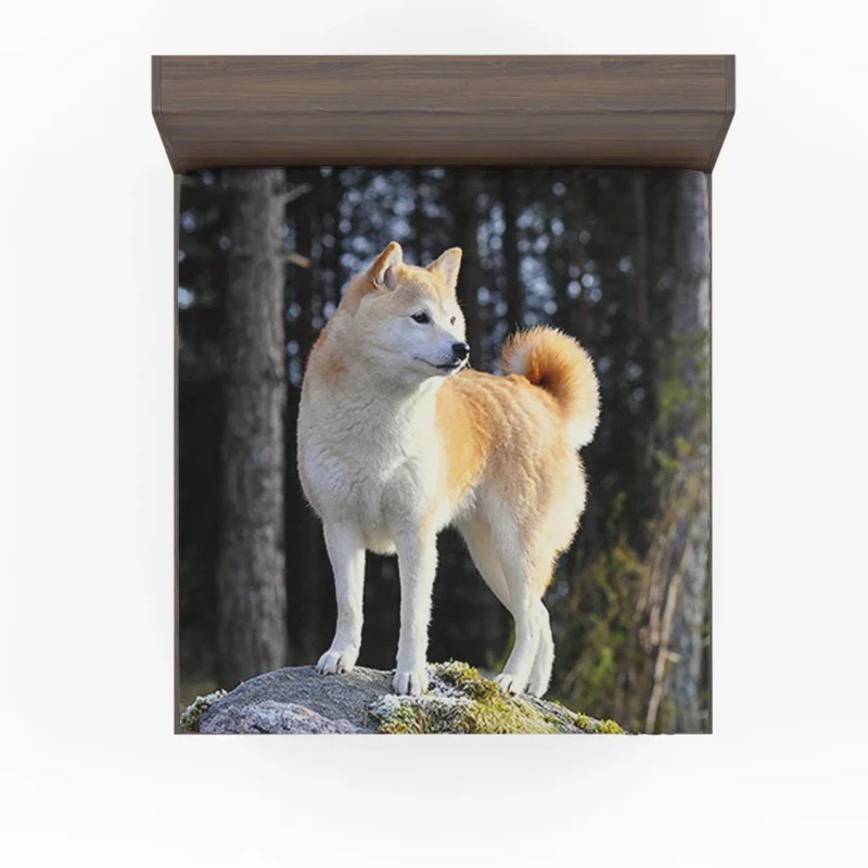 A Glimpse of Serenity: Shiba Inu Quartet Fitted Sheet