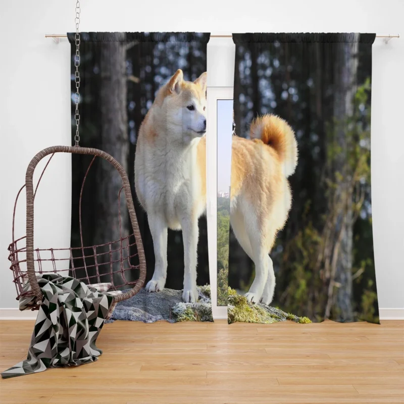 A Glimpse of Serenity: Shiba Inu Quartet Window Curtain