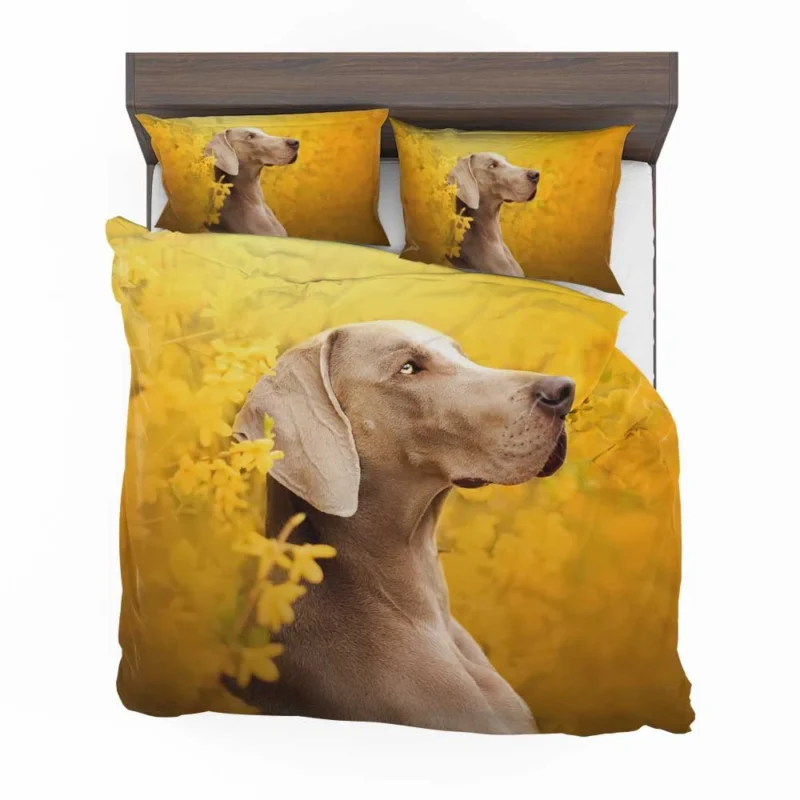 A Glimpse of Serenity: Weimaraner Quartet Bedding Set 1