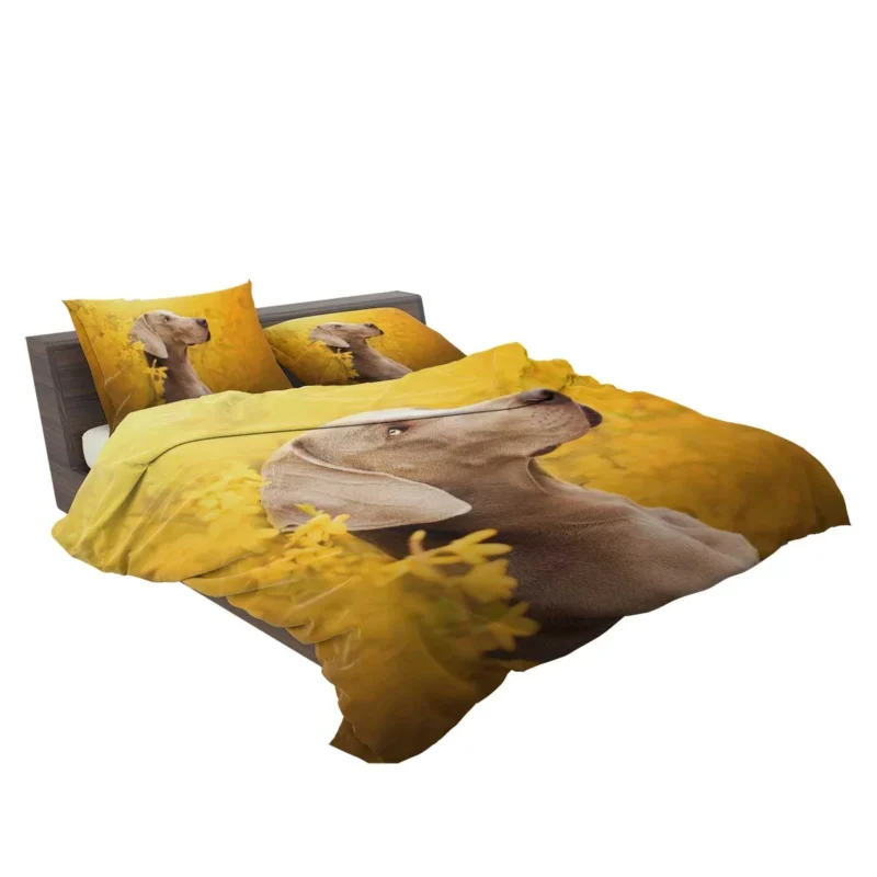 A Glimpse of Serenity: Weimaraner Quartet Bedding Set 2