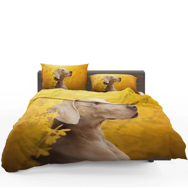 A Glimpse of Serenity: Weimaraner Quartet Bedding Set