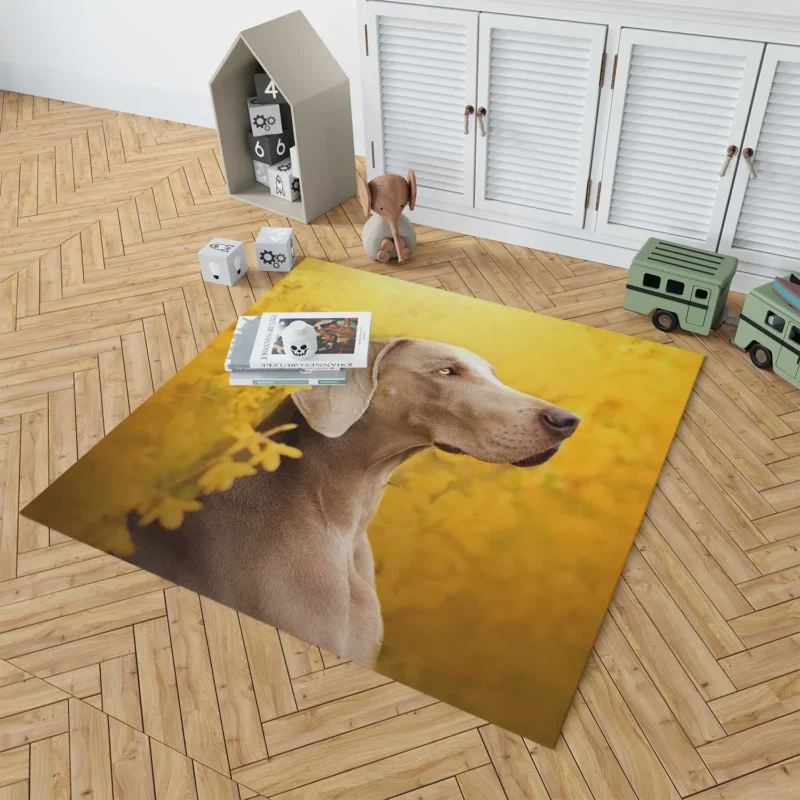 A Glimpse of Serenity: Weimaraner Quartet Floor Rug 1