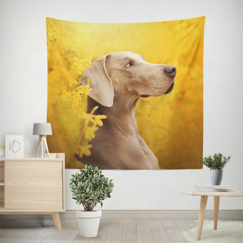 A Glimpse of Serenity  Weimaraner Quartet Wall Tapestry