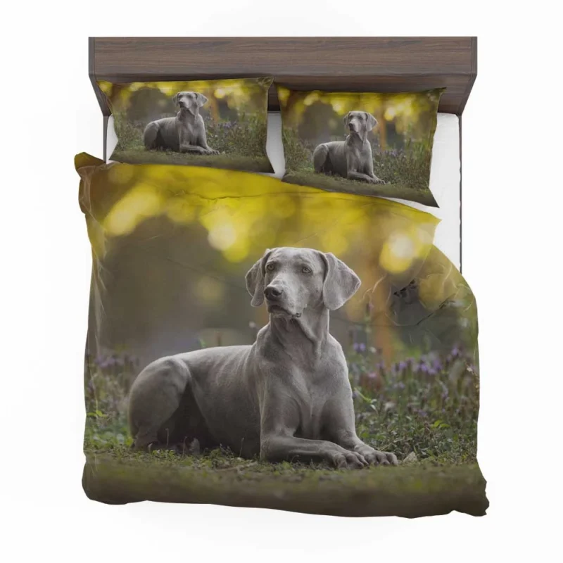 A Glimpse of Silver: Weimaraner Quartet Bedding Set 1