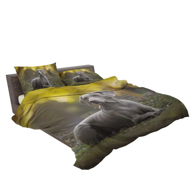 A Glimpse of Silver: Weimaraner Quartet Bedding Set 2