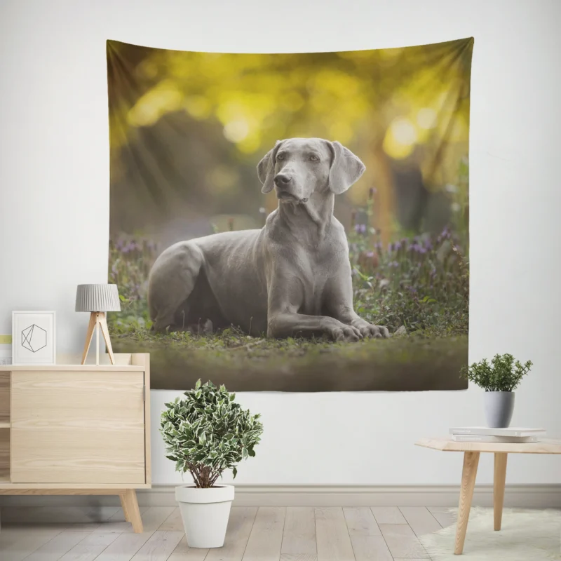 A Glimpse of Silver  Weimaraner Quartet Wall Tapestry