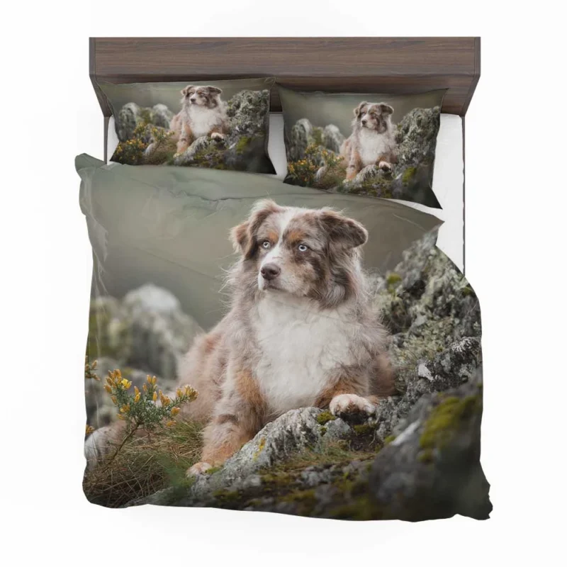 A Herding and Companion Breed: Australian Shepherd Bedding Set 1