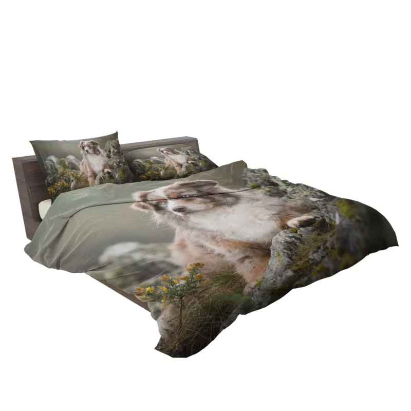 A Herding and Companion Breed: Australian Shepherd Bedding Set 2