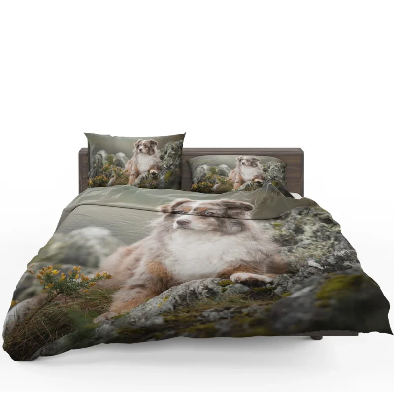 A Herding and Companion Breed: Australian Shepherd Bedding Set