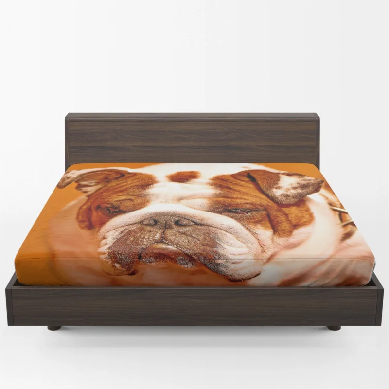 A Muzzle to Remember: Bulldog Quartet Fitted Sheet 1