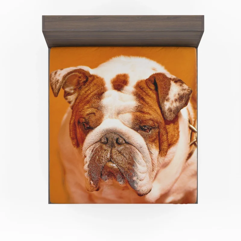 A Muzzle to Remember: Bulldog Quartet Fitted Sheet