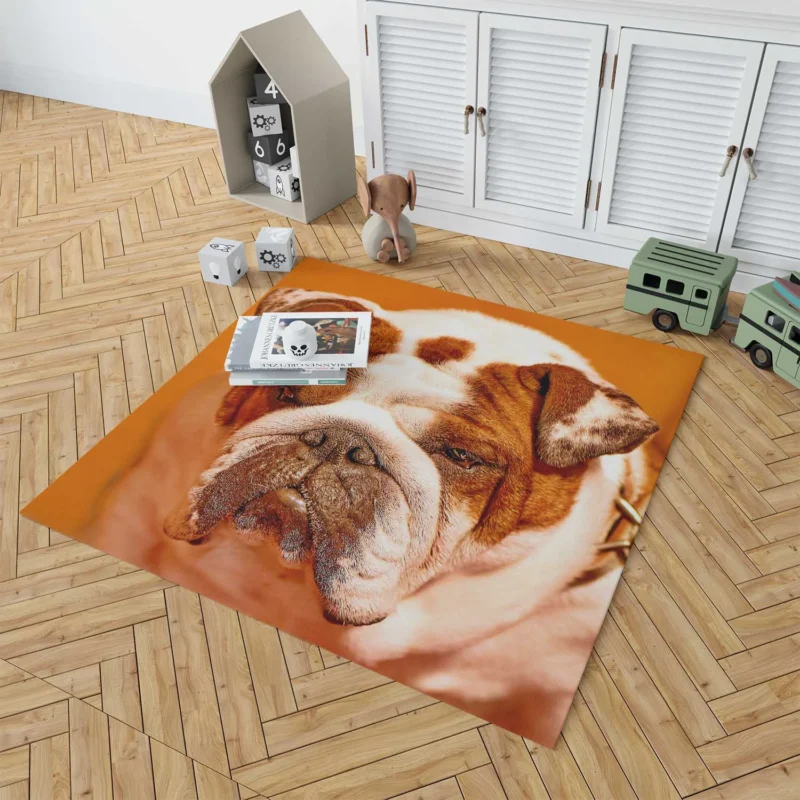 A Muzzle to Remember: Bulldog Quartet Floor Rug 1