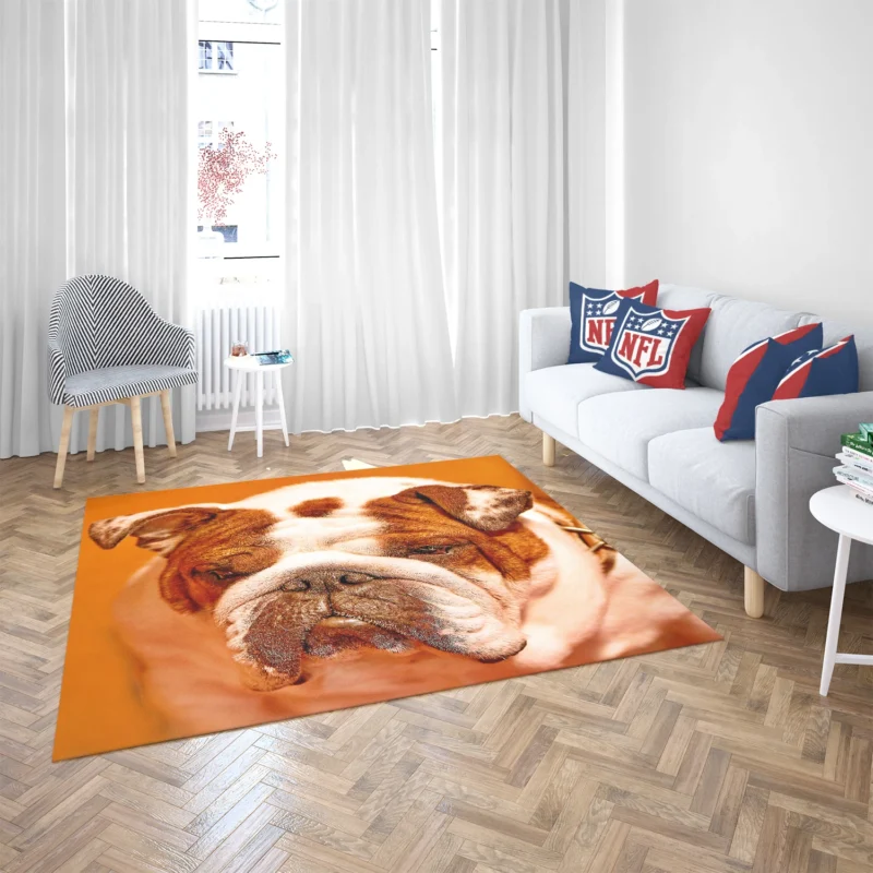 A Muzzle to Remember: Bulldog Quartet Floor Rug 2