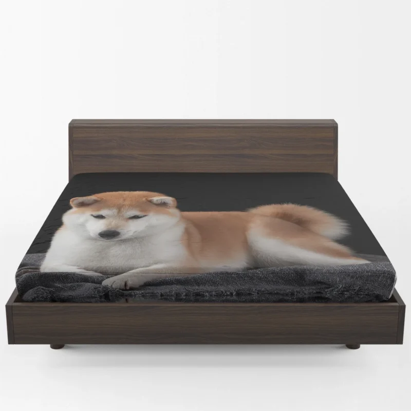 A Picture of Elegance: Shiba Inu Quartet Fitted Sheet 1