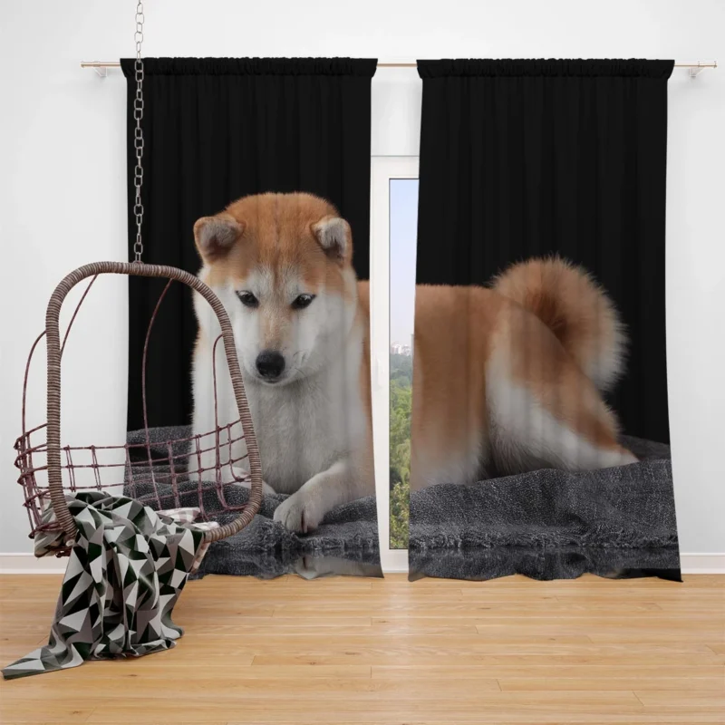 A Picture of Elegance: Shiba Inu Quartet Window Curtain