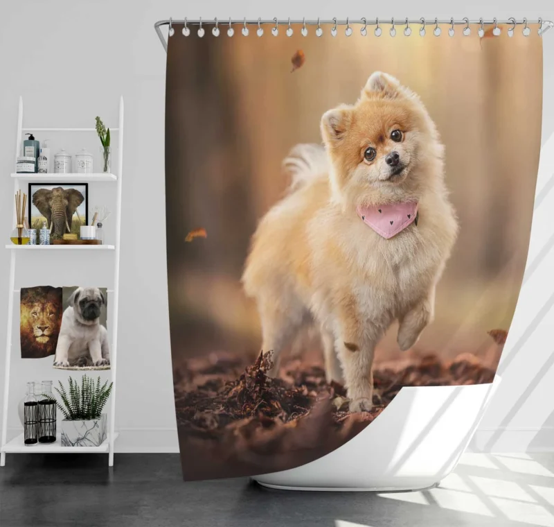 A Picture of Grace: Spitz Quartet Shower Curtain