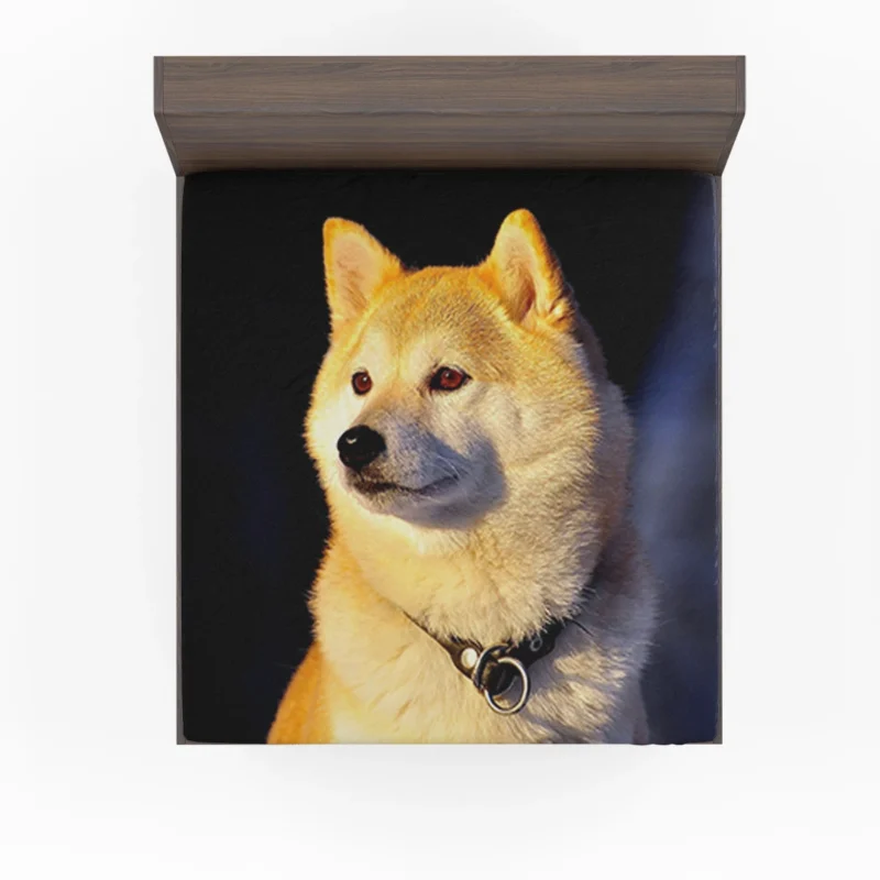 A Portrait of Beauty: Shiba Inu Quartet Fitted Sheet