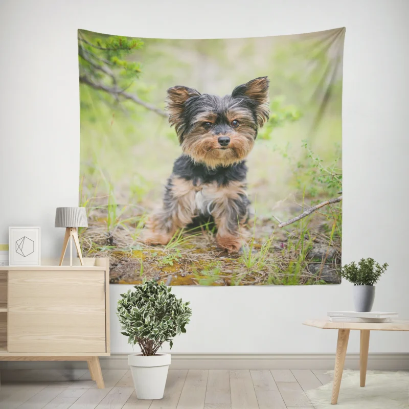 A Portrait of Charm  Yorkshire Terrier Quartet Wall Tapestry