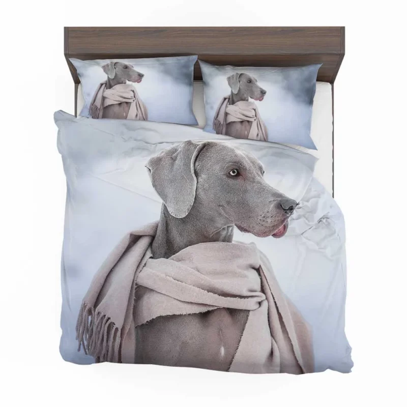 A Portrait of Elegance: Weimaraner Quartet Bedding Set 1