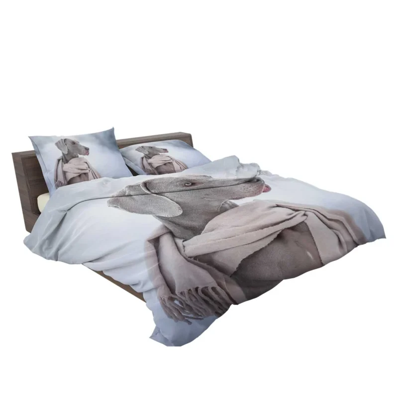 A Portrait of Elegance: Weimaraner Quartet Bedding Set 2