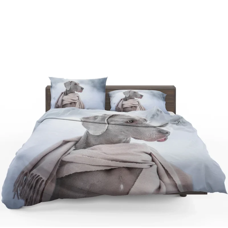 A Portrait of Elegance: Weimaraner Quartet Bedding Set