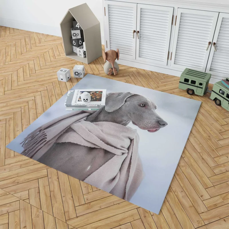 A Portrait of Elegance: Weimaraner Quartet Floor Rug 1