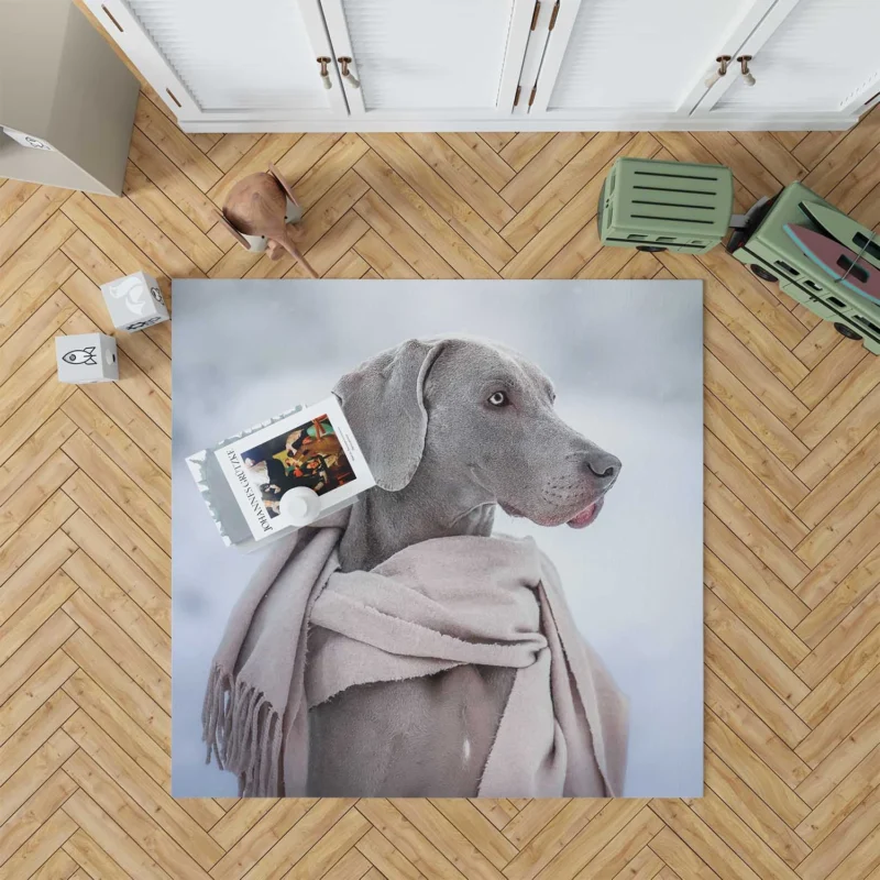 A Portrait of Elegance: Weimaraner Quartet Floor Rug