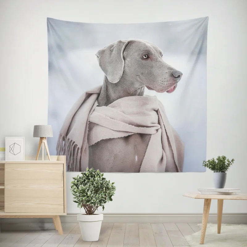 A Portrait of Elegance  Weimaraner Quartet Wall Tapestry