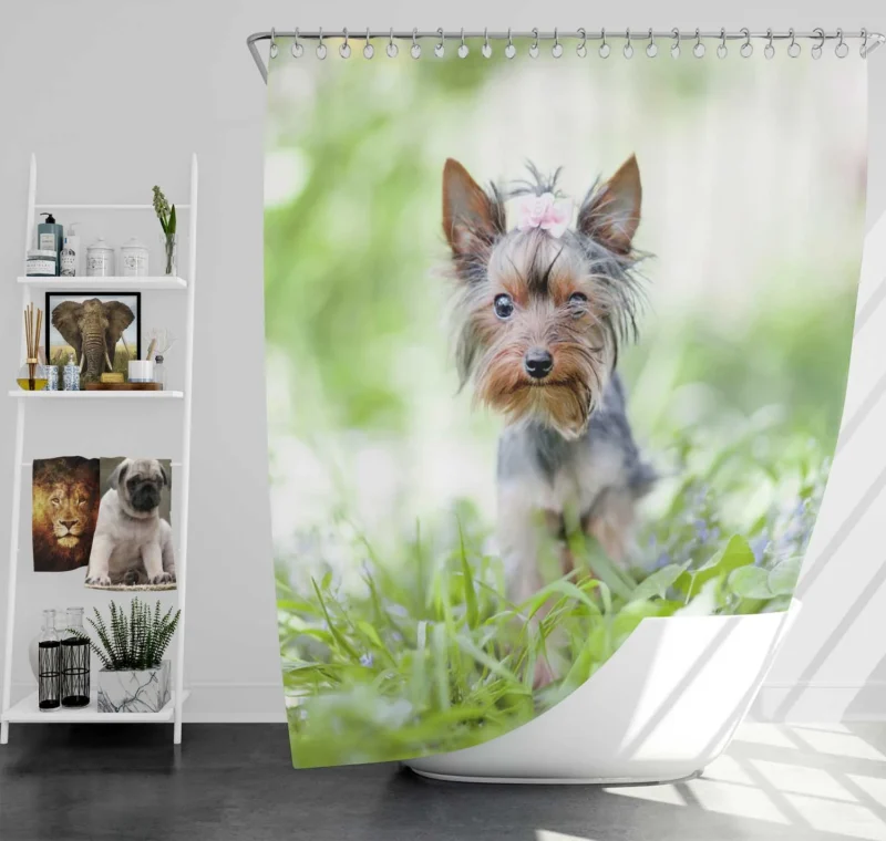 A Portrait of Tenacity: Terrier Quartet Shower Curtain