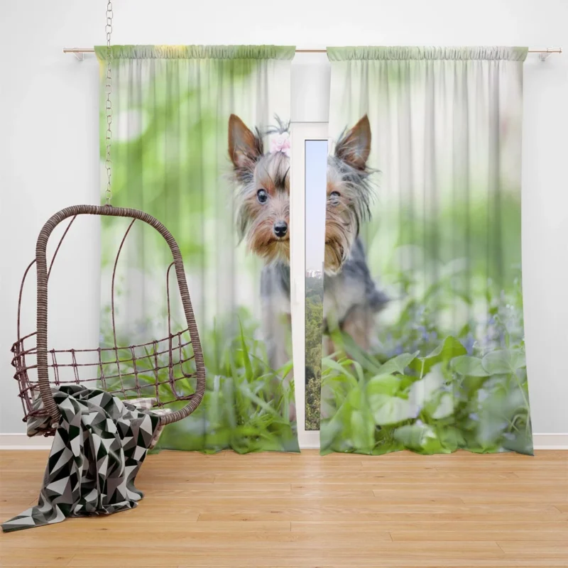 A Portrait of Tenacity: Terrier Quartet Window Curtain