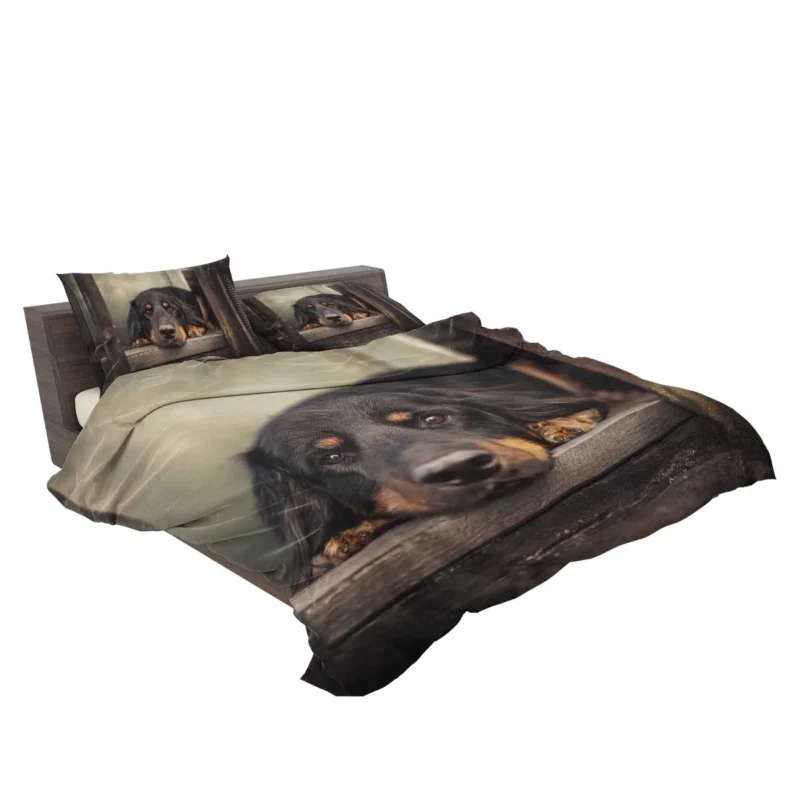 A Quadruple Gaze: Hovawart Canine Stares Bedding Set 2