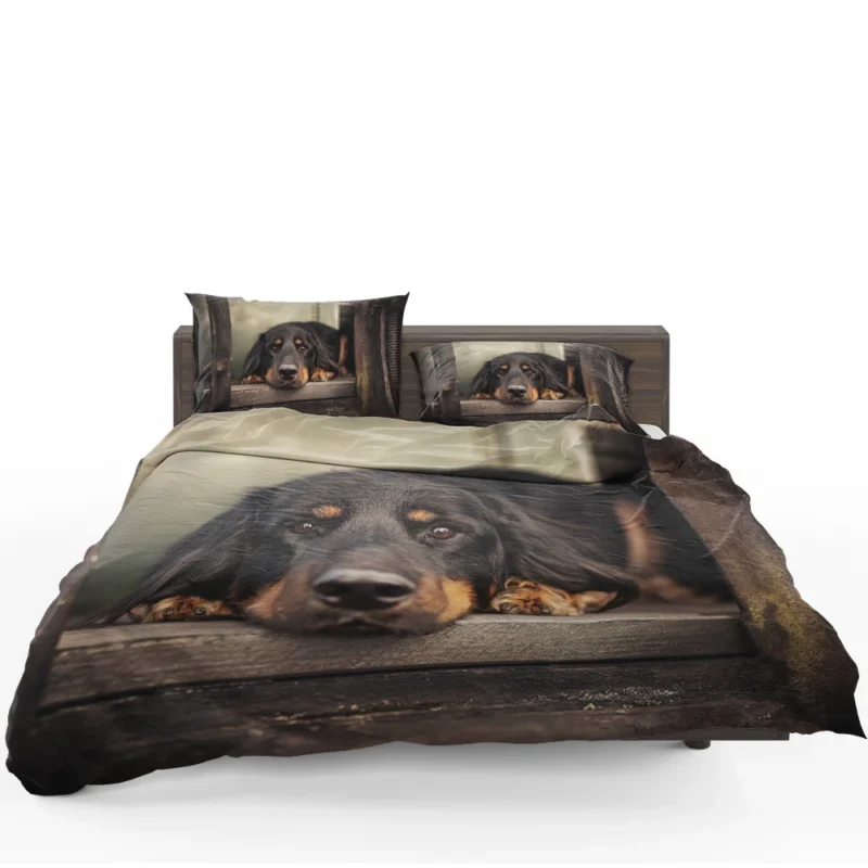 A Quadruple Gaze: Hovawart Canine Stares Bedding Set