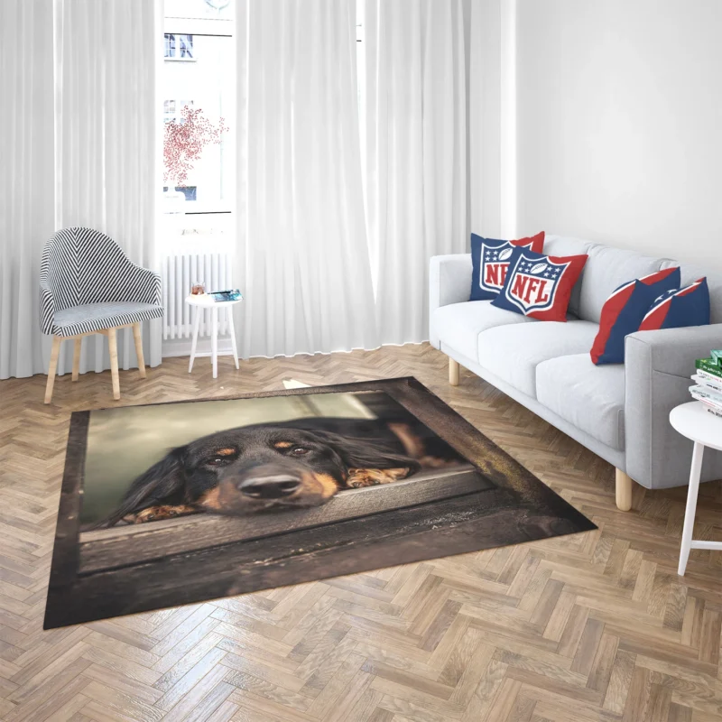 A Quadruple Gaze: Hovawart Canine Stares Floor Rug 2