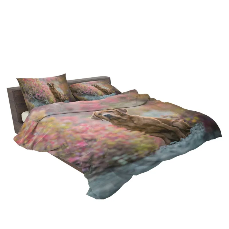 A Quartet of Beauty: Labrador Depth of Field Bedding Set 2