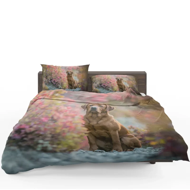 A Quartet of Beauty: Labrador Depth of Field Bedding Set