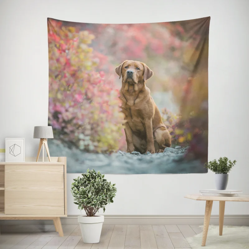 A Quartet of Beauty  Labrador Depth of Field Wall Tapestry