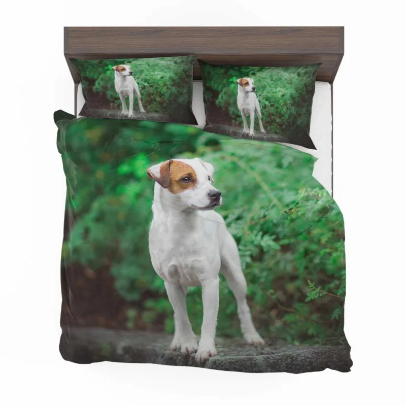 A Quartet of Canine Charm: Jack Russell Terriers Bedding Set 1