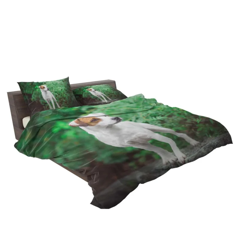 A Quartet of Canine Charm: Jack Russell Terriers Bedding Set 2