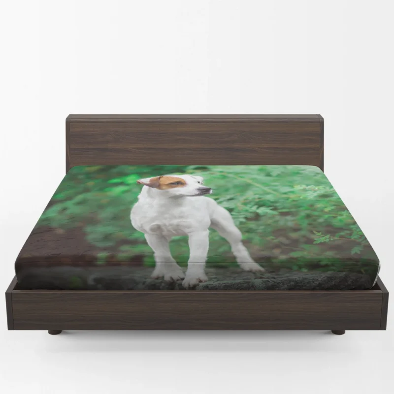 A Quartet of Canine Charm: Jack Russell Terriers Fitted Sheet 1