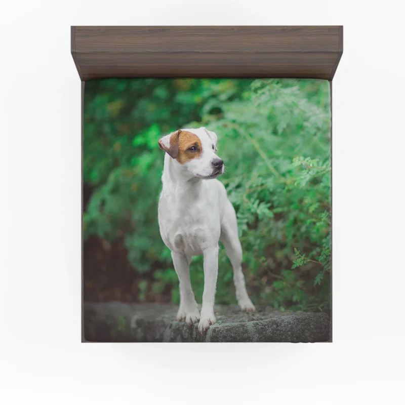 A Quartet of Canine Charm: Jack Russell Terriers Fitted Sheet