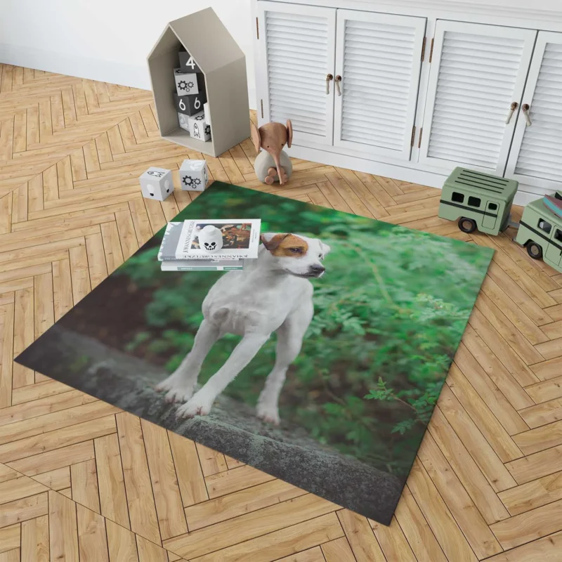 A Quartet of Canine Charm: Jack Russell Terriers Floor Rug 1