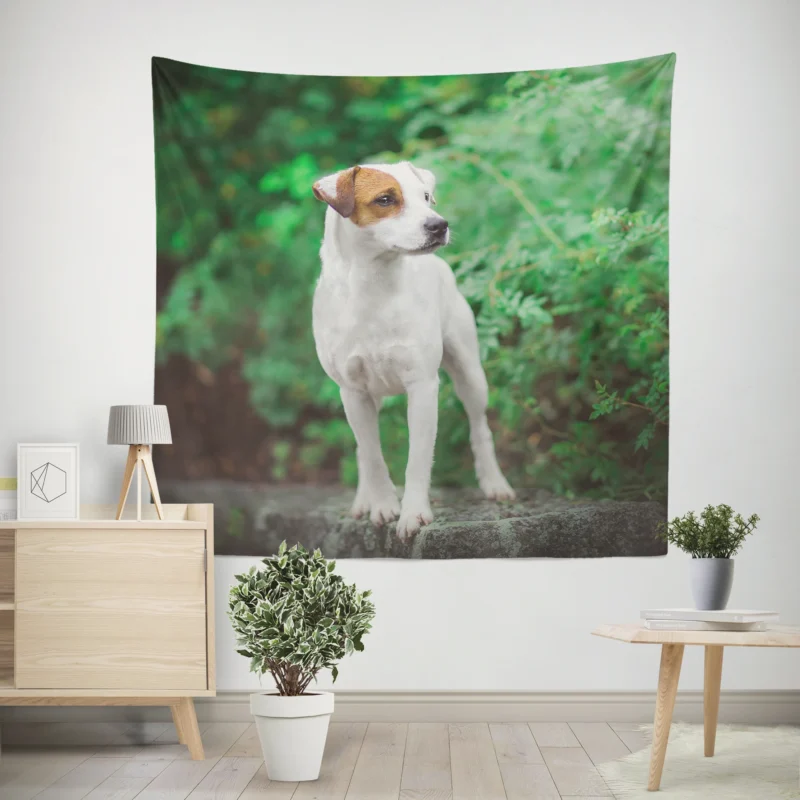 A Quartet of Canine Charm  Jack Russell Terriers Wall Tapestry