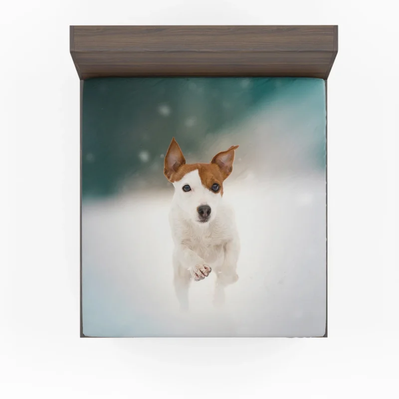 A Quartet of Cuteness: Jack Russell Terrier Puppies Fitted Sheet