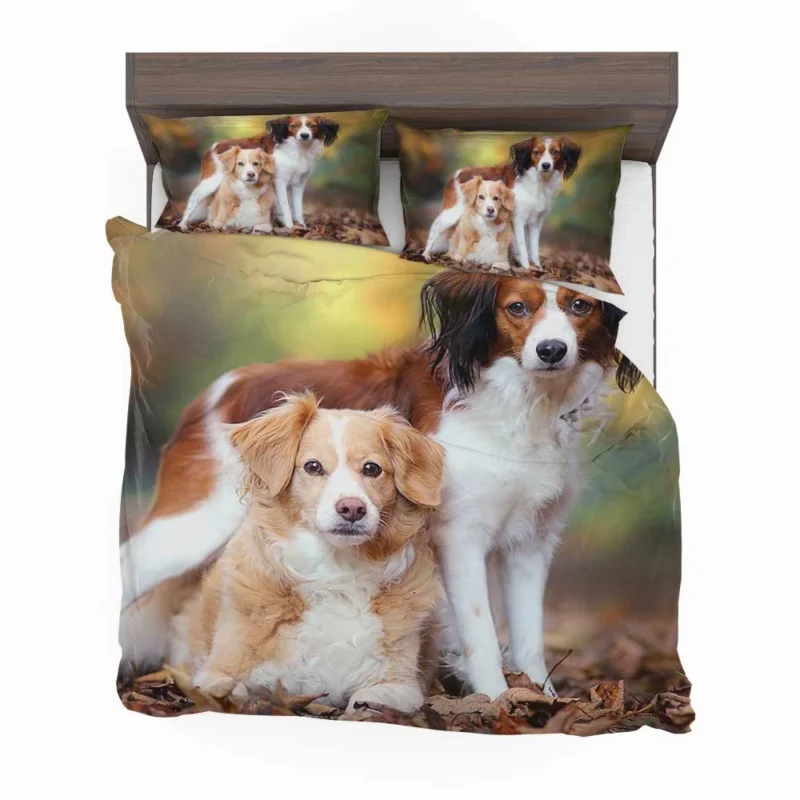 A Quartet of Dutch Beauties: Kooikerhondje Dogs Bedding Set 1