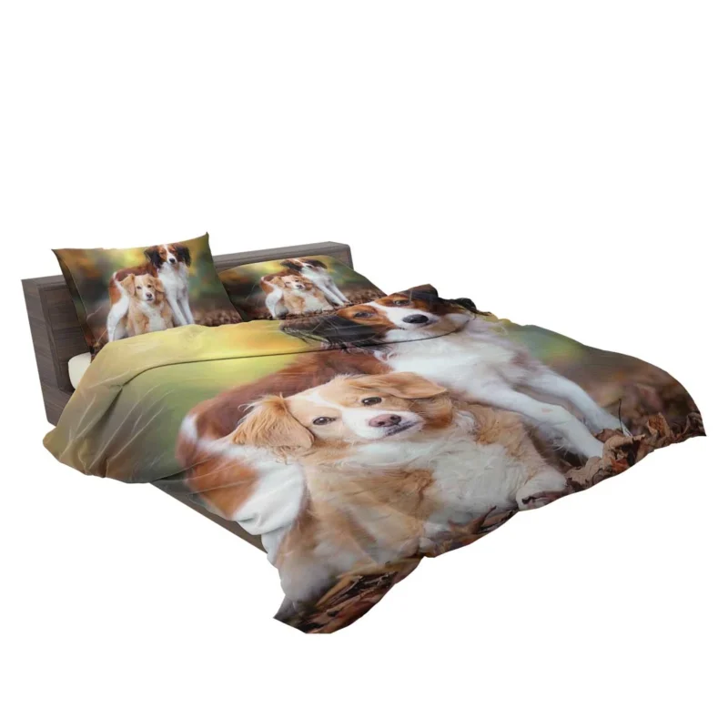 A Quartet of Dutch Beauties: Kooikerhondje Dogs Bedding Set 2