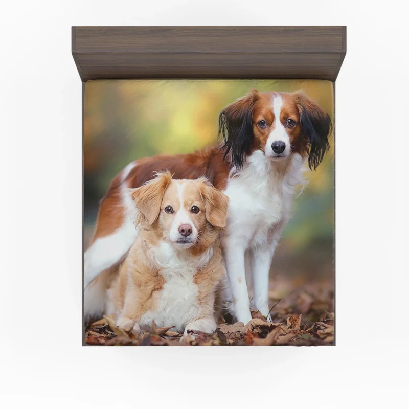 A Quartet of Dutch Beauties: Kooikerhondje Dogs Fitted Sheet